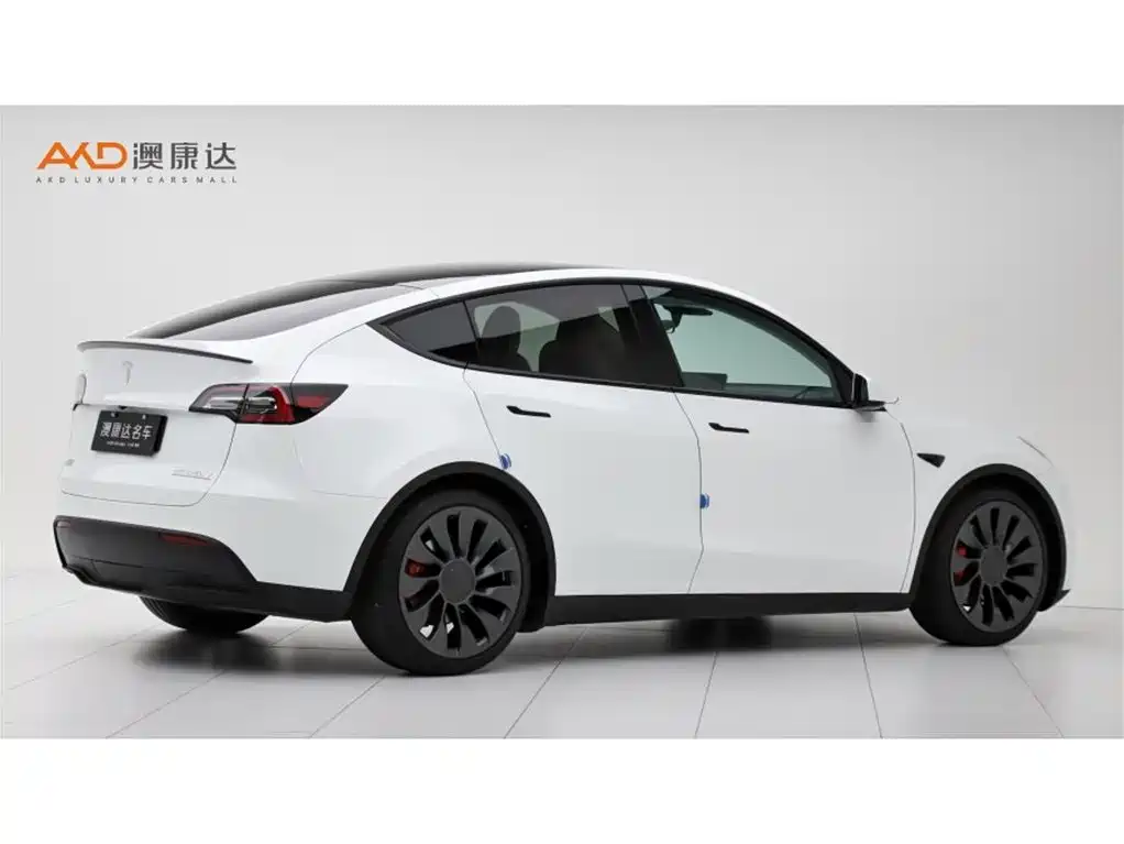 Tesla Model Y — фото 3
