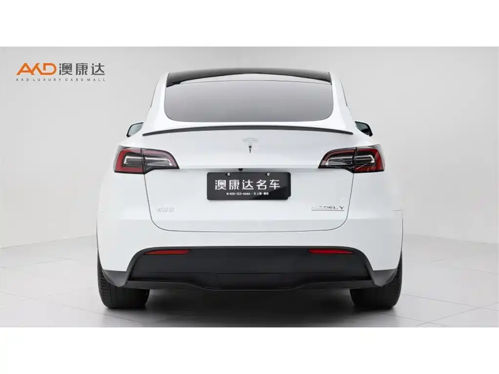 Tesla Model Y — фото 4