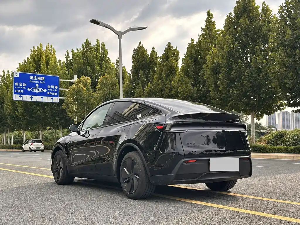 Tesla Model Y — фото 14