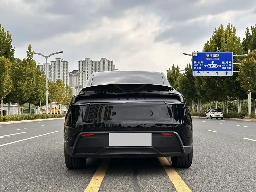 Tesla Model Y — фото 15