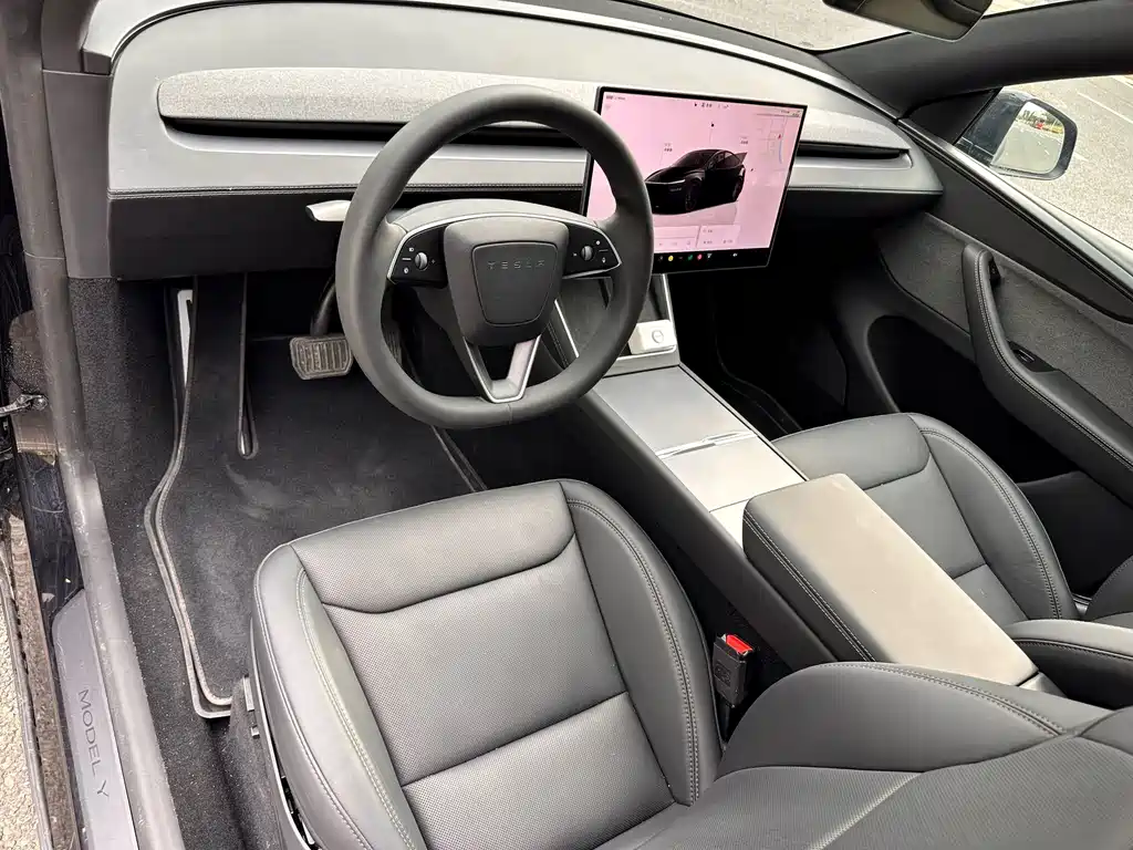 Tesla Model Y — фото 10