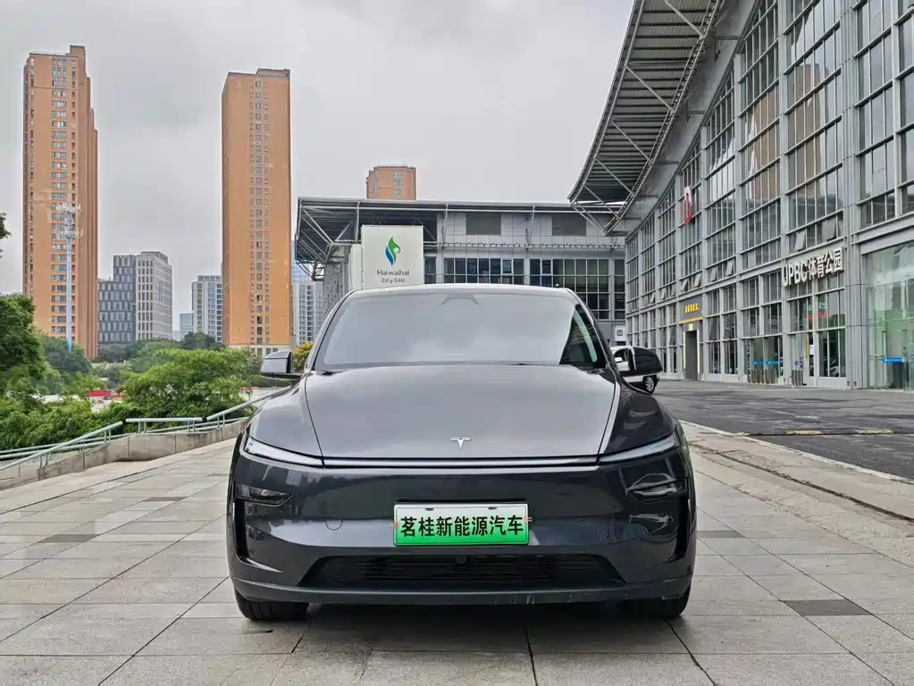 Tesla Model Y — фото 2