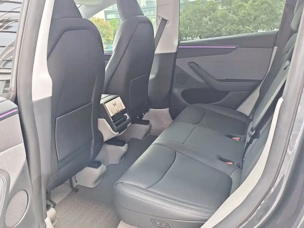 Tesla Model Y — фото 11