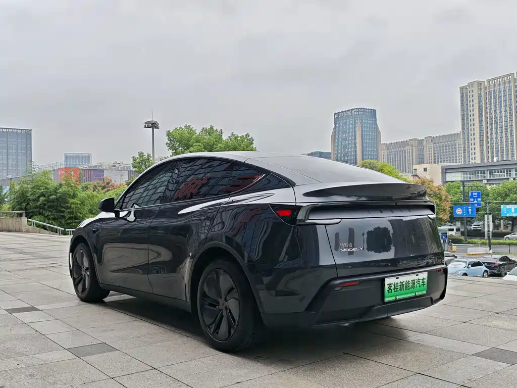Tesla Model Y — фото 4