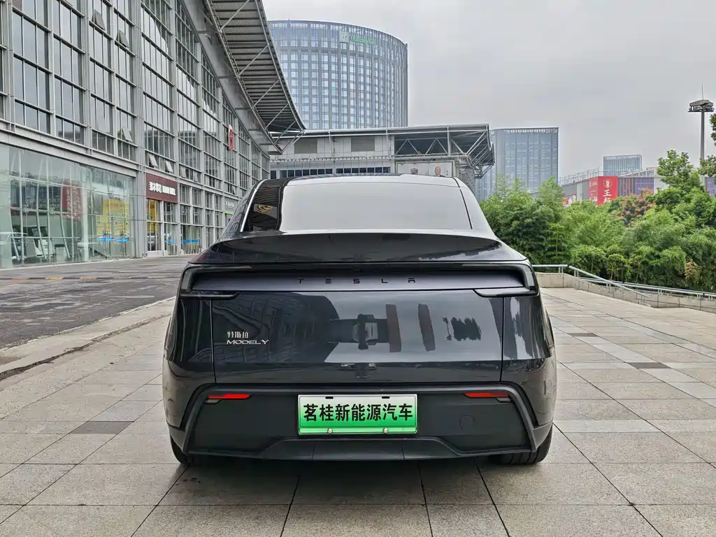 Tesla Model Y — фото 6