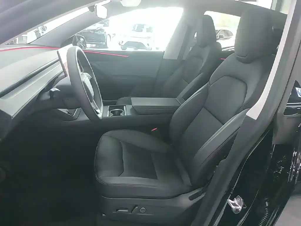 Tesla Model Y — фото 15