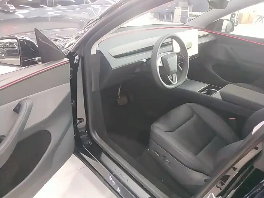 Tesla Model Y — фото 16