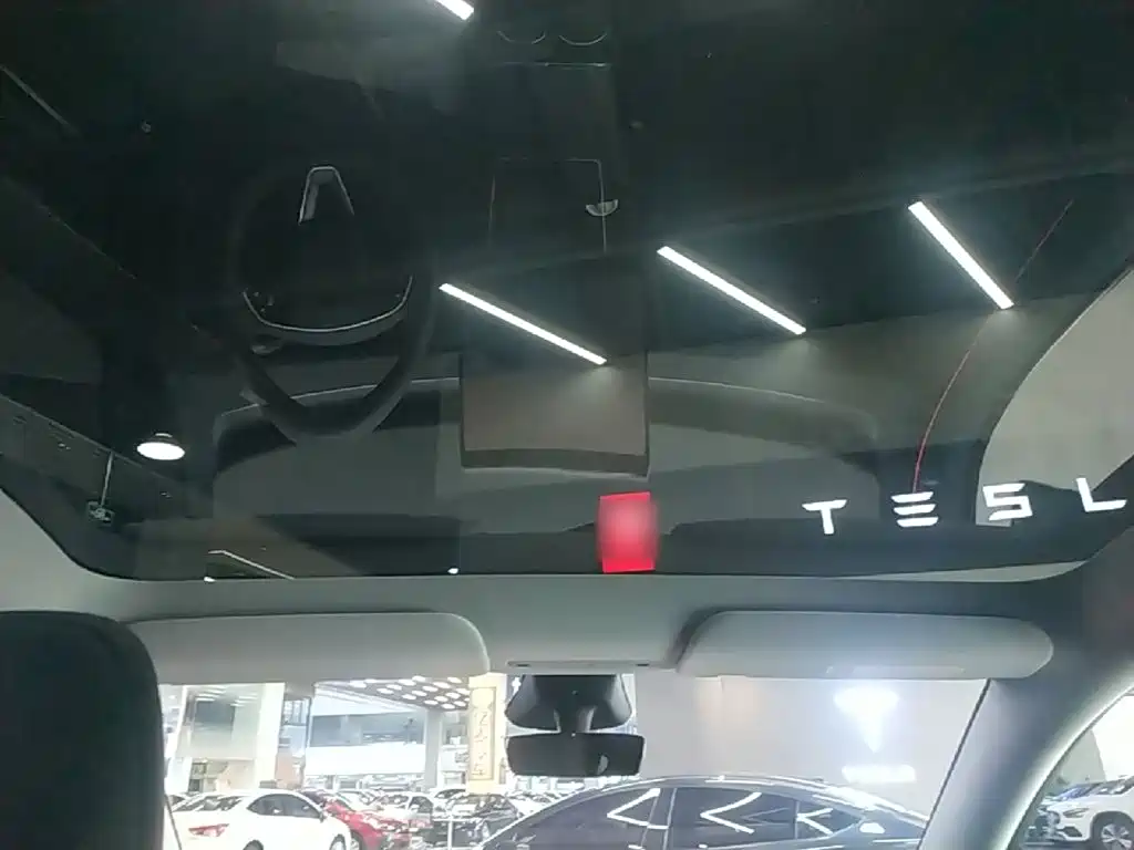 Tesla Model Y — фото 18