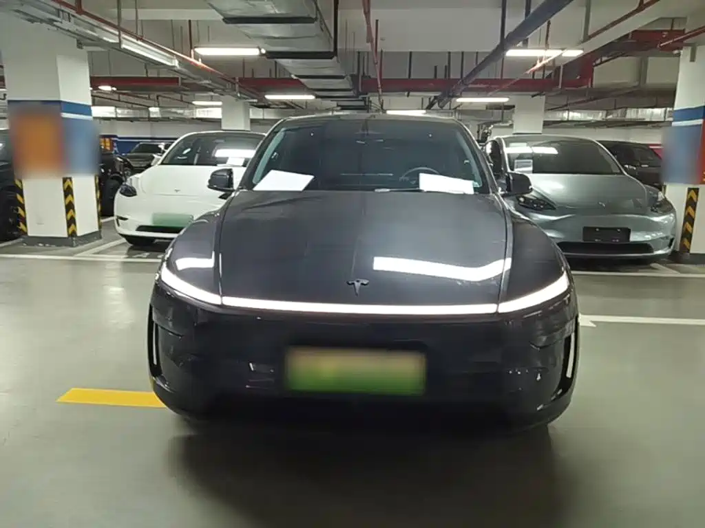 Tesla Model Y — фото 3