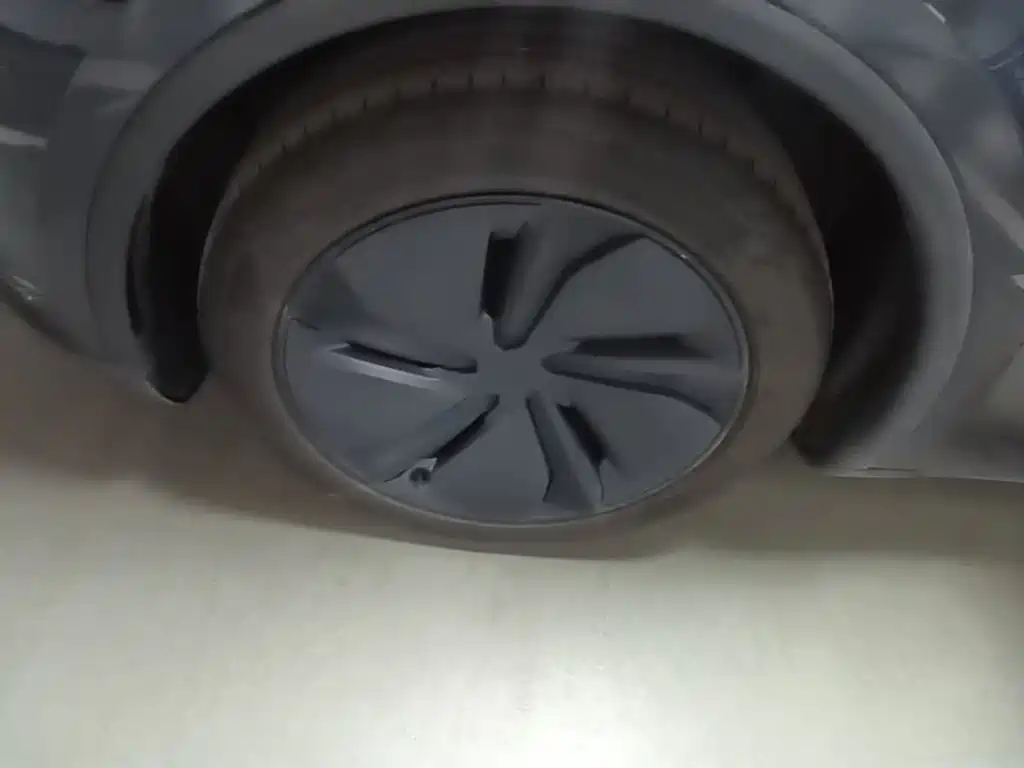 Tesla Model Y — фото 23