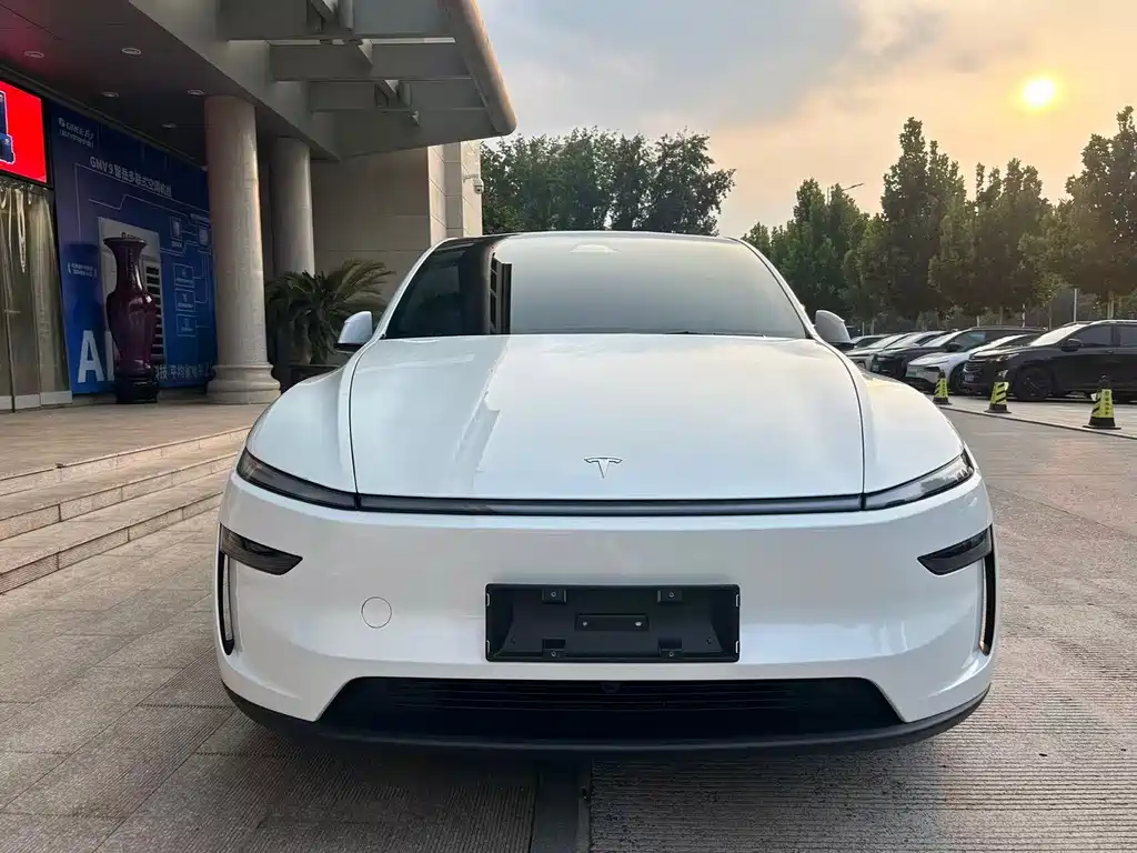 Tesla Model Y — фото 2