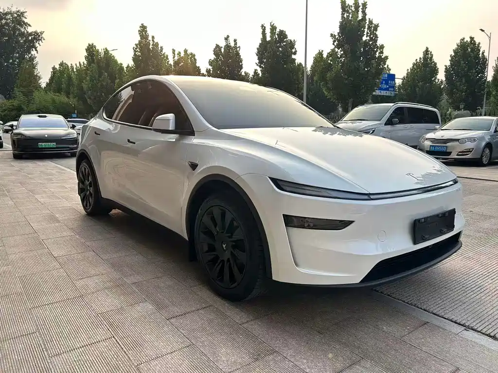 Tesla Model Y — фото 3