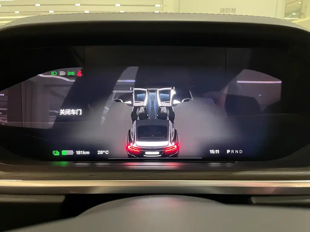 Tesla Model X — фото 18