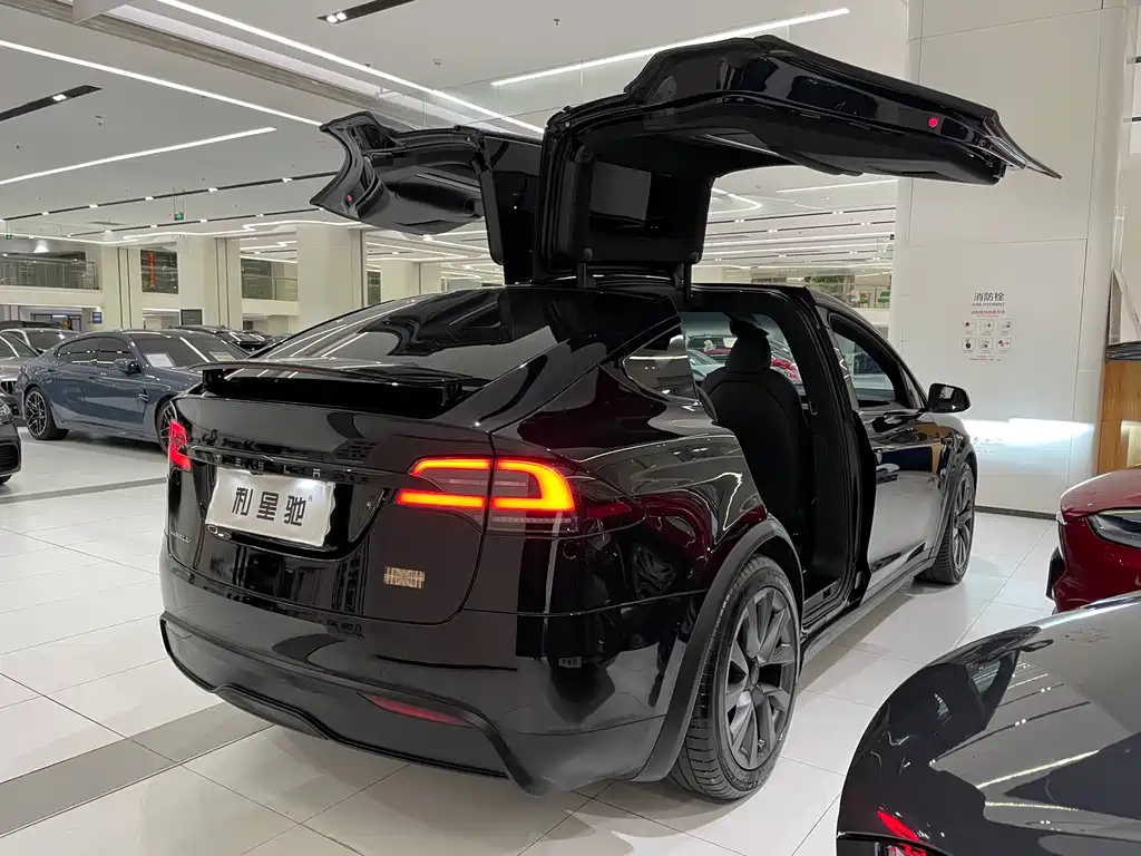 Tesla Model X — фото 3