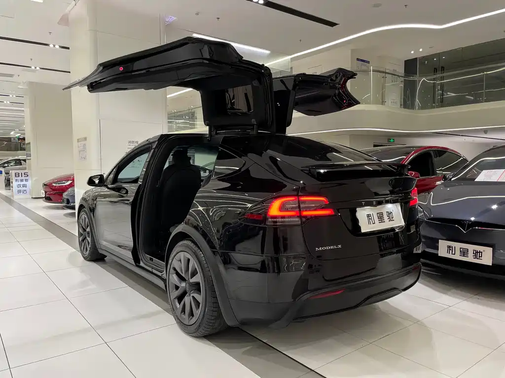 Tesla Model X — фото 4