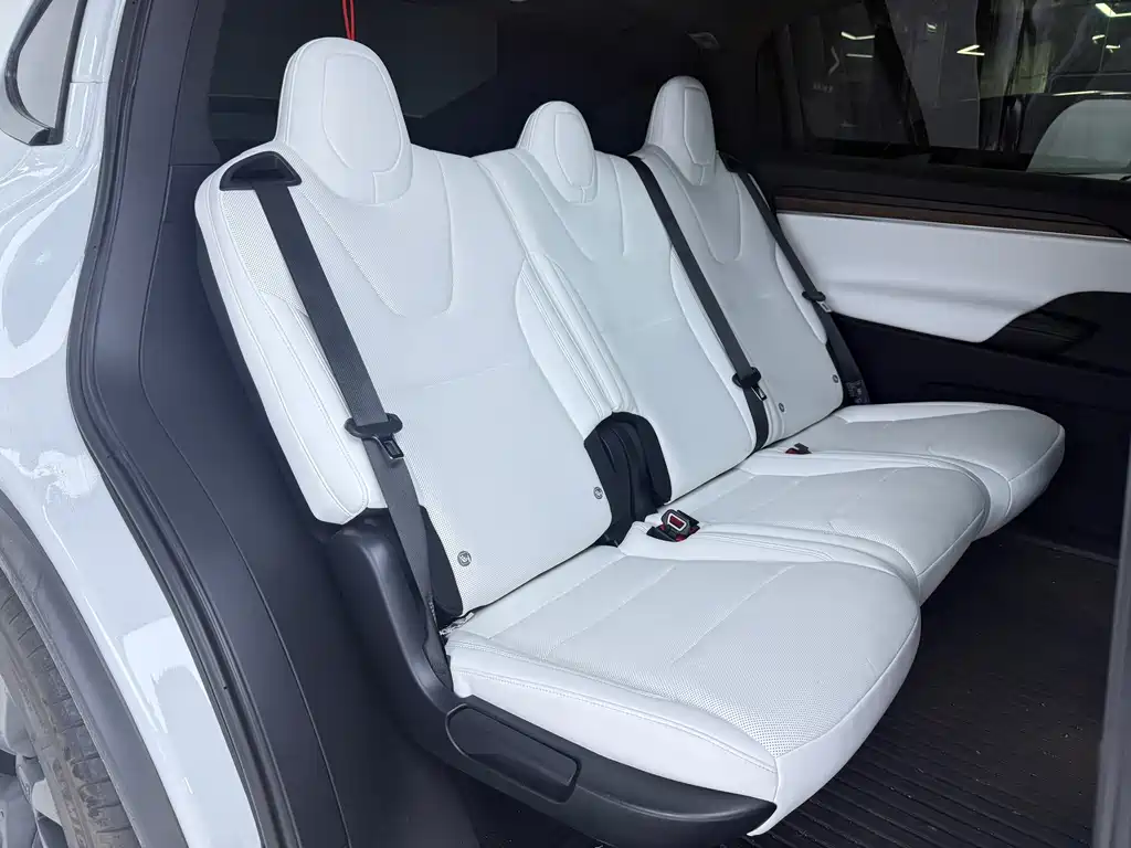 Tesla Model X — фото 13