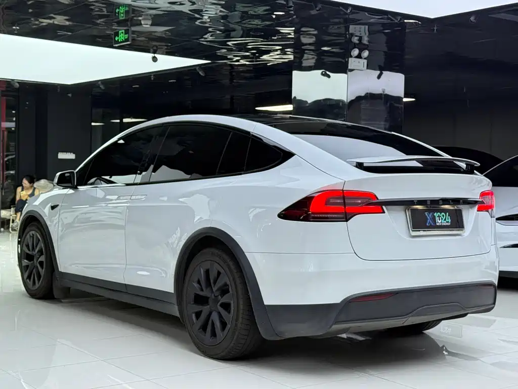 Tesla Model X — фото 6