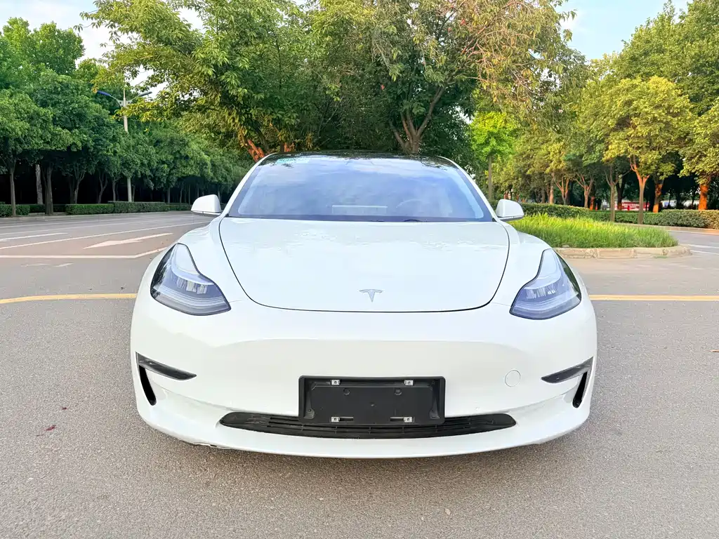 Tesla Model 3 — фото 2
