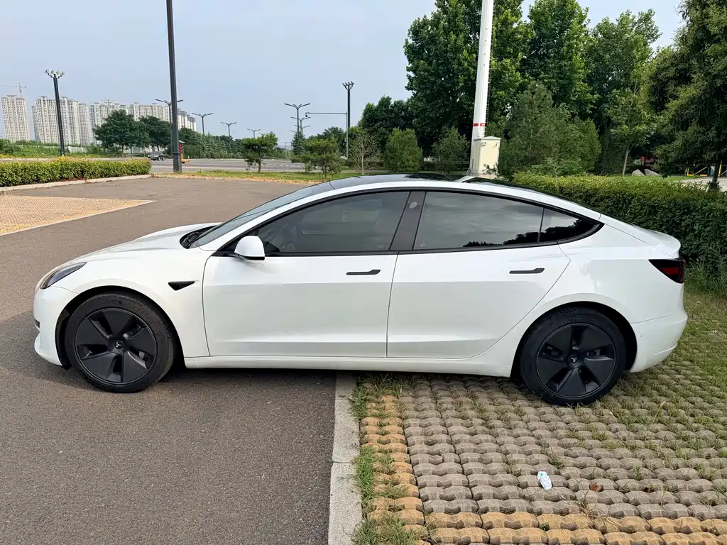 Tesla Model 3 — фото 4