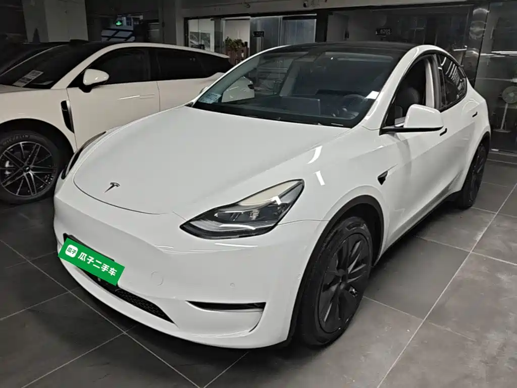 Tesla Model Y — фото 2