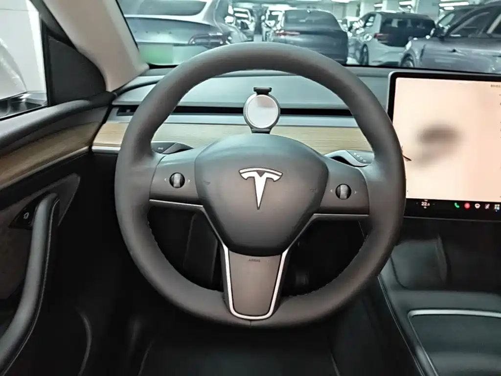 Tesla Model Y — фото 11