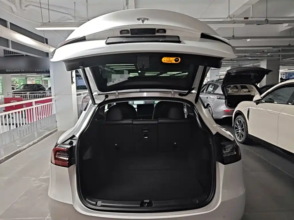 Tesla Model Y — фото 19
