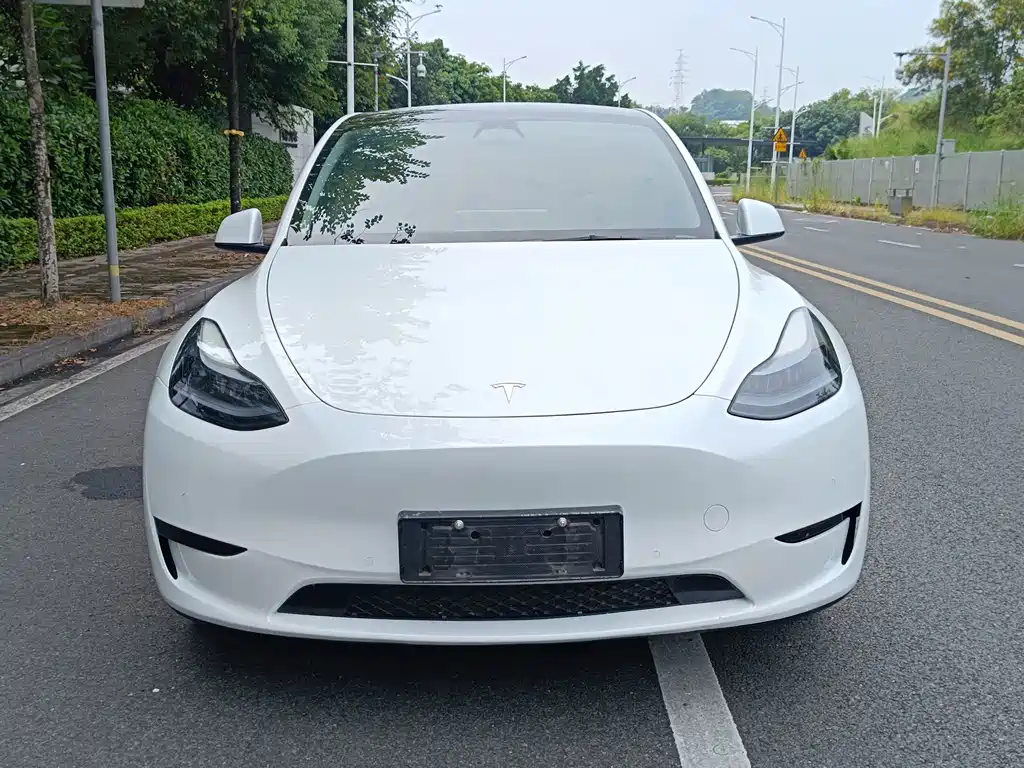 Tesla Model Y — фото 2