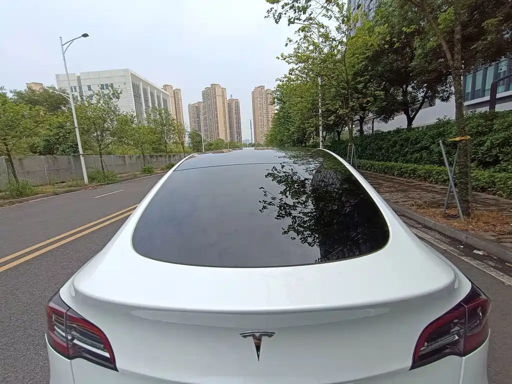 Tesla Model Y — фото 11