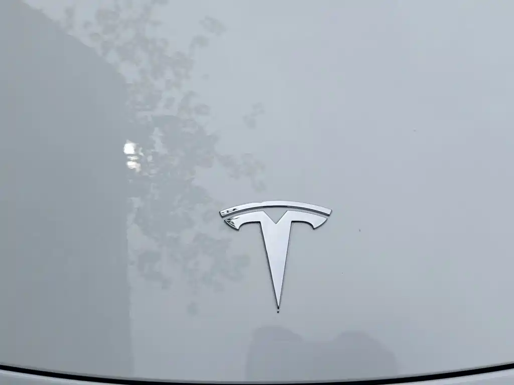 Tesla Model Y — фото 14