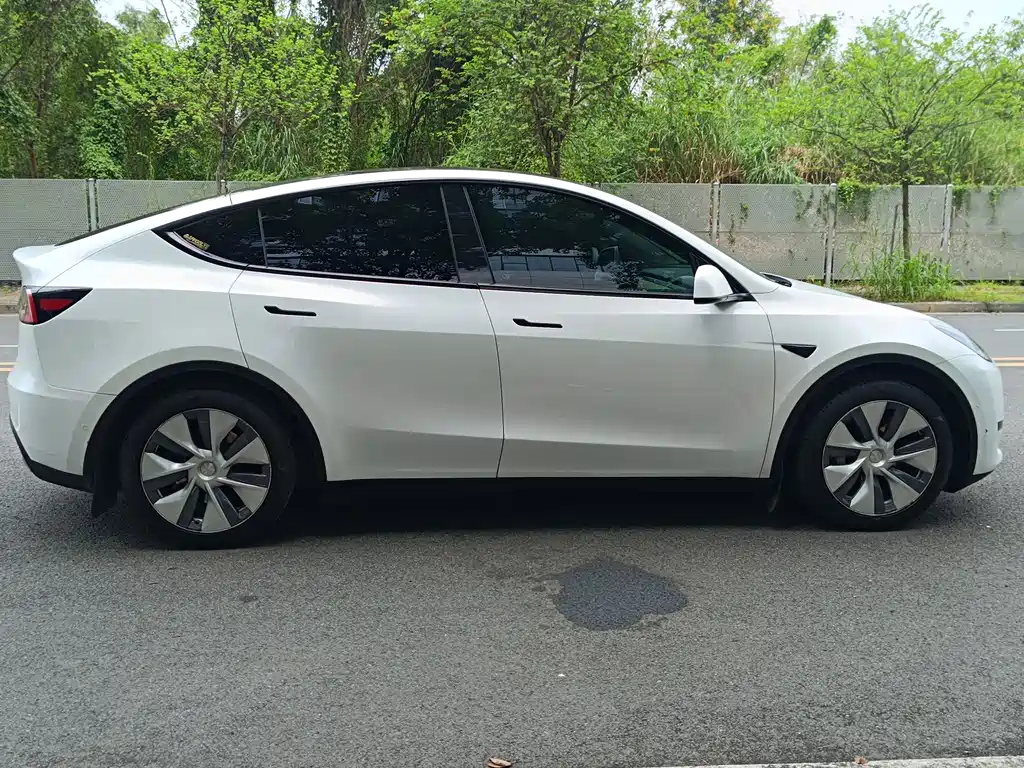 Tesla Model Y — фото 19