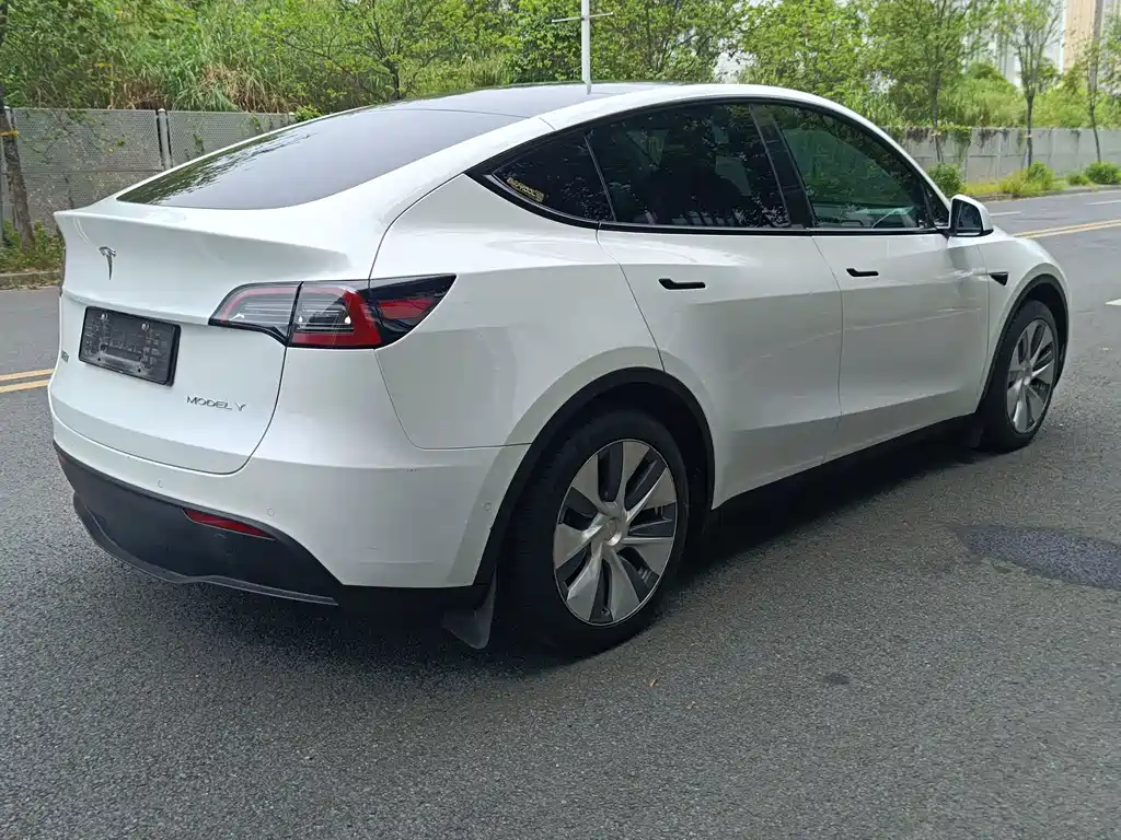 Tesla Model Y — фото 20