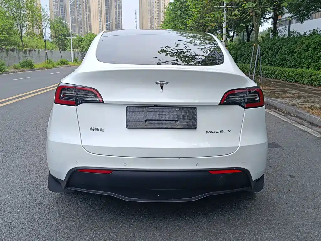 Tesla Model Y — фото 3