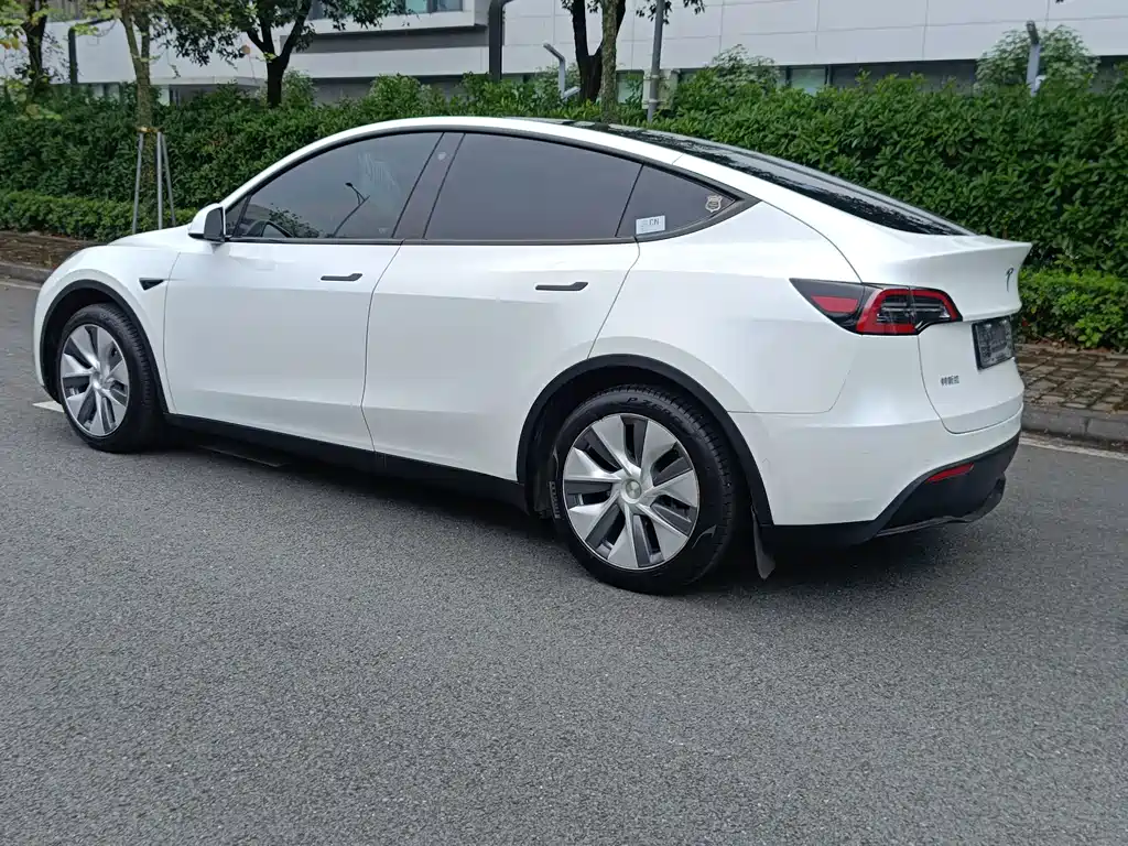 Tesla Model Y — фото 21