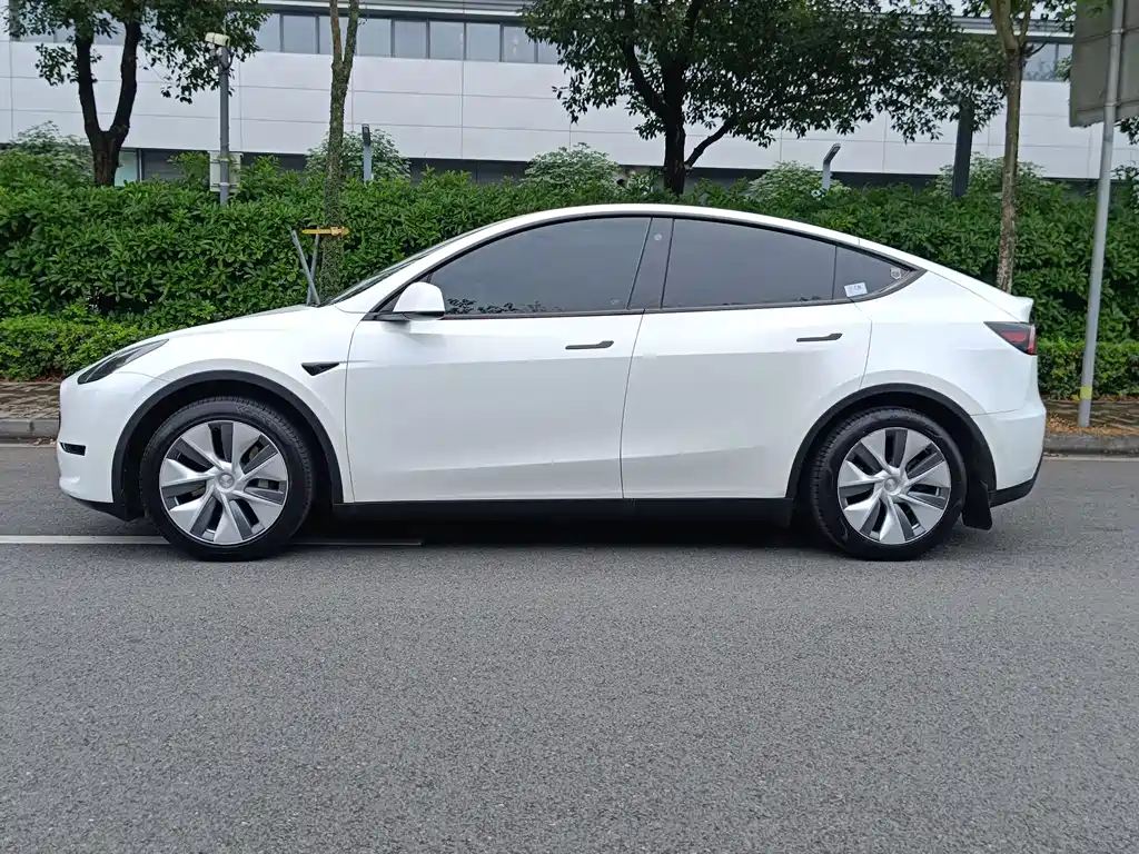 Tesla Model Y — фото 22