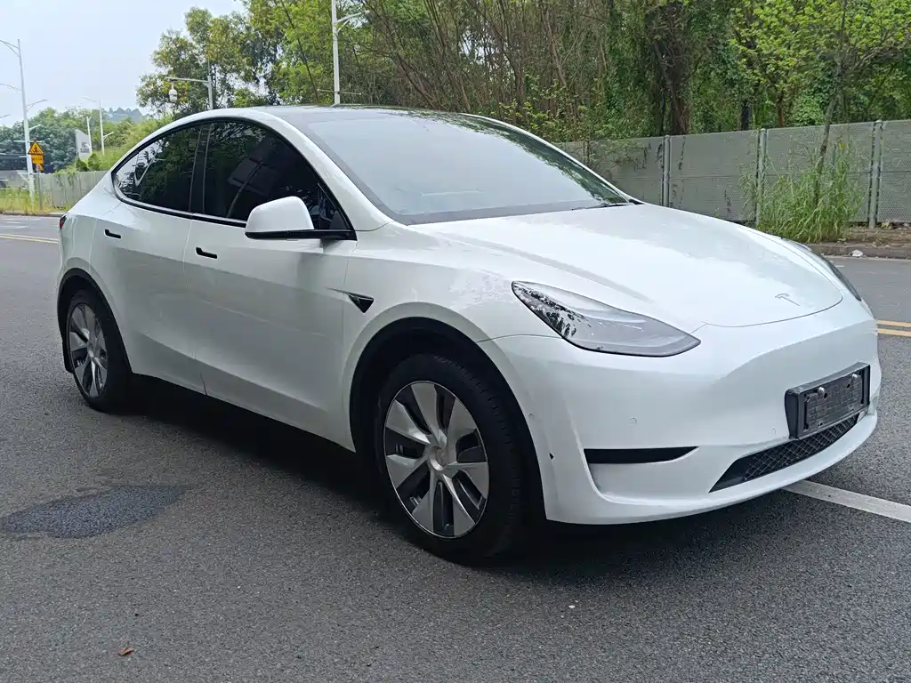 Tesla Model Y — фото 23
