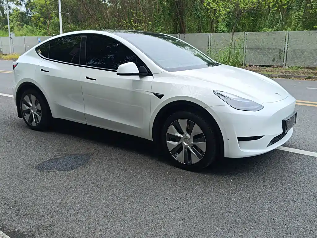 Tesla Model Y — фото 24
