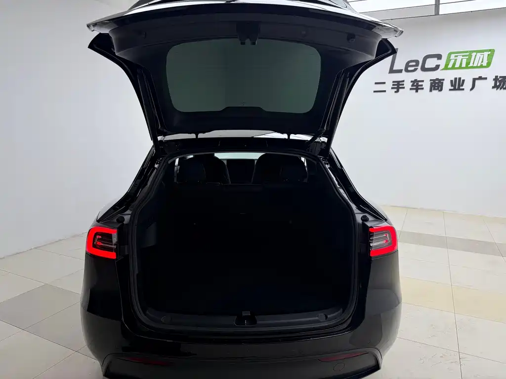 Tesla Model Y — фото 14