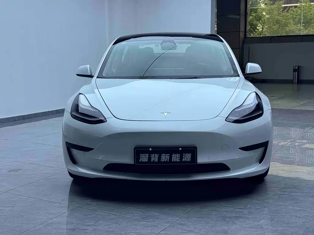 Tesla Model 3 — фото 3