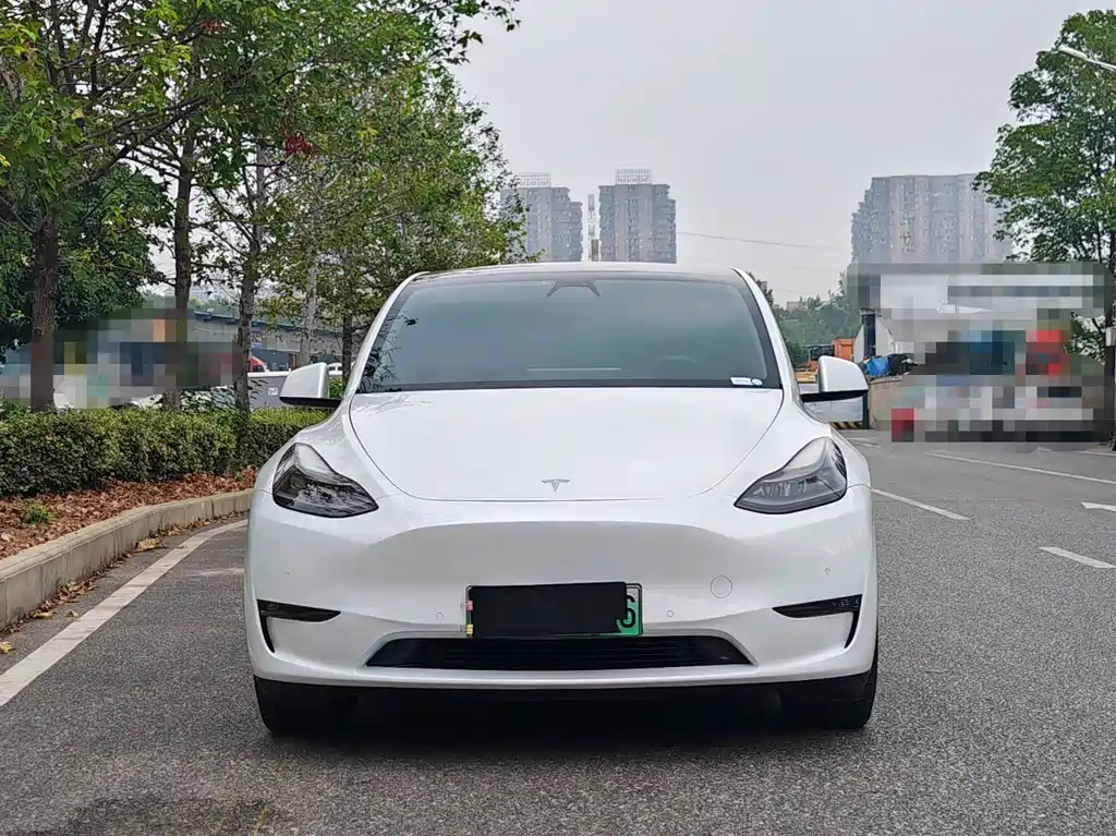 Tesla Model Y — фото 2