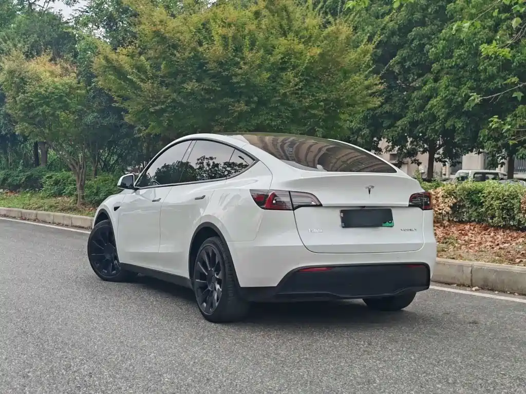 Tesla Model Y — фото 3