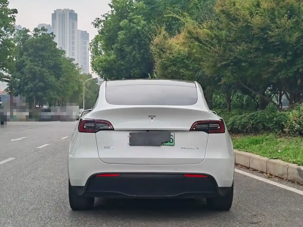 Tesla Model Y — фото 5