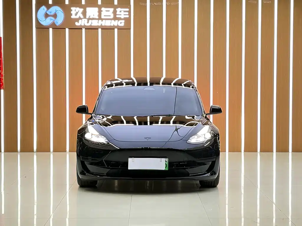 Tesla Model 3 — фото 2