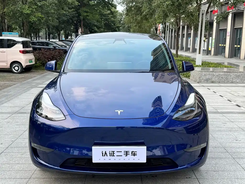 Tesla Model Y — фото 2