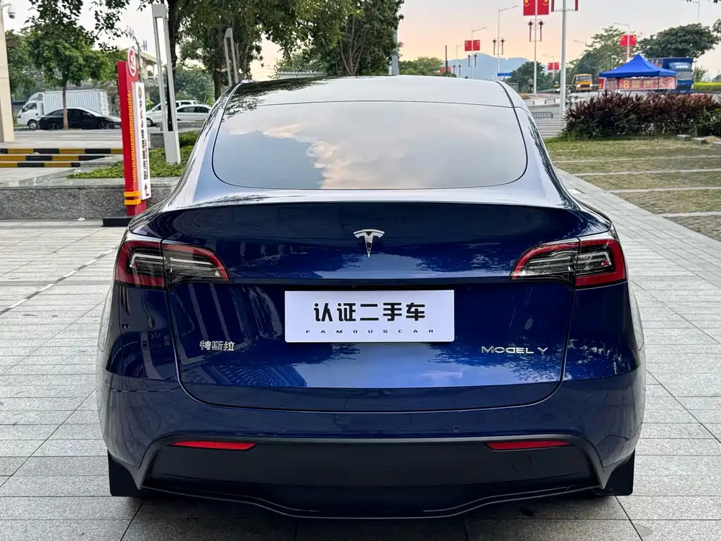 Tesla Model Y — фото 11