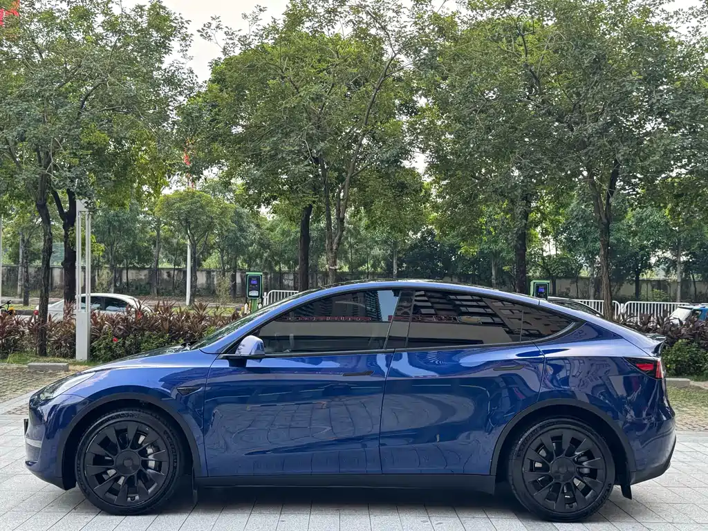 Tesla Model Y — фото 13