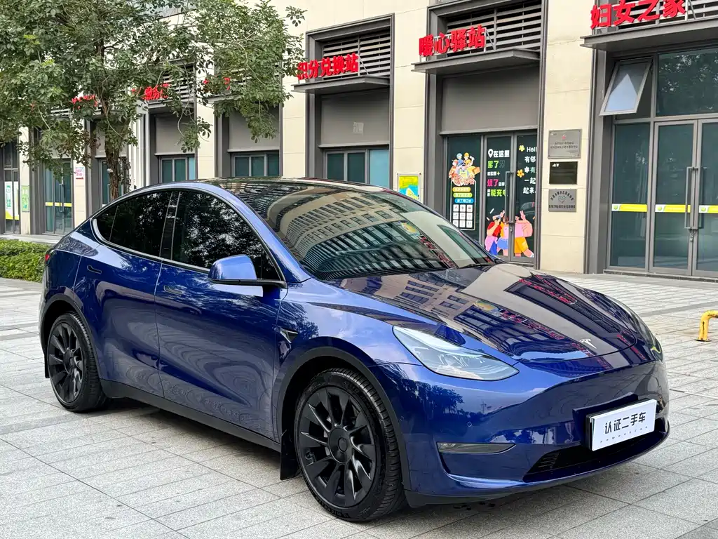 Tesla Model Y — фото 3