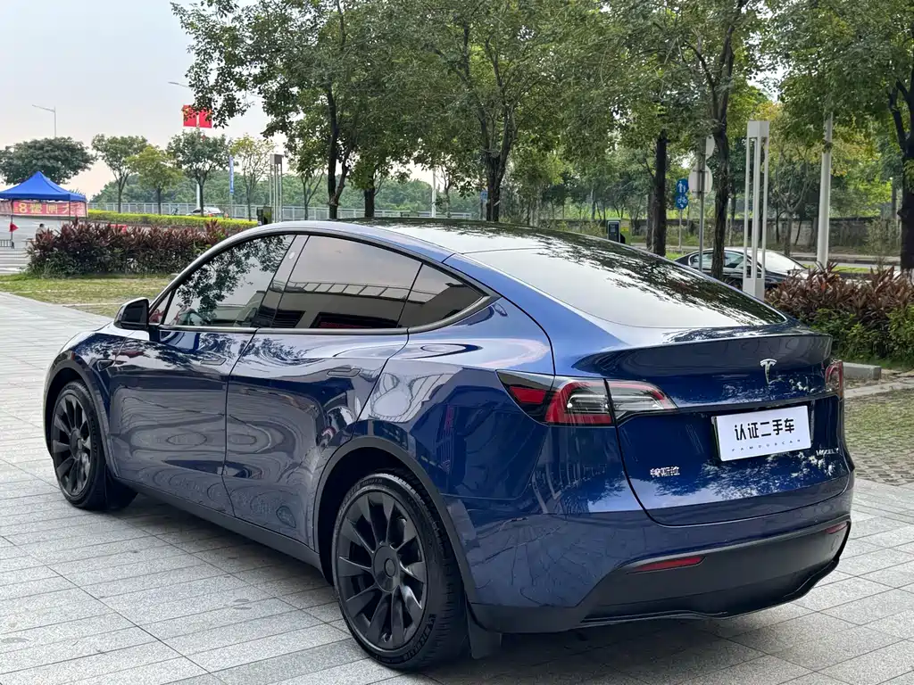 Tesla Model Y — фото 10
