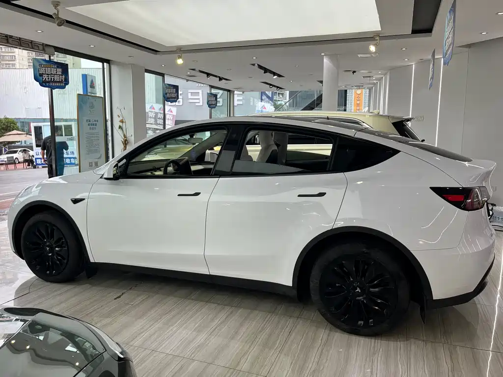 Tesla Model Y — фото 5