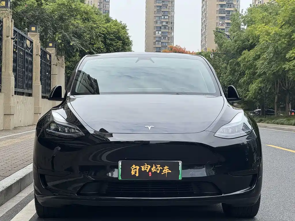 Tesla Model Y — фото 2