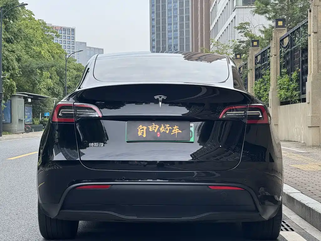 Tesla Model Y — фото 20